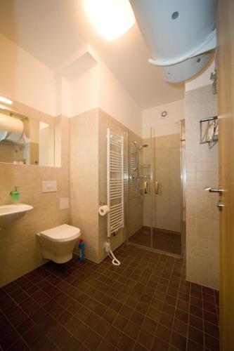 Hostal Penzion Star� V�penka