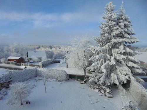 Hostal Penzion Serhant