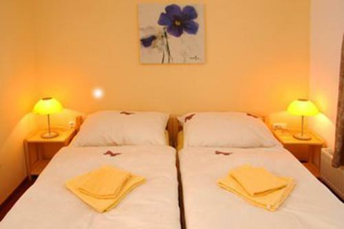 Hostal Penzion-apex