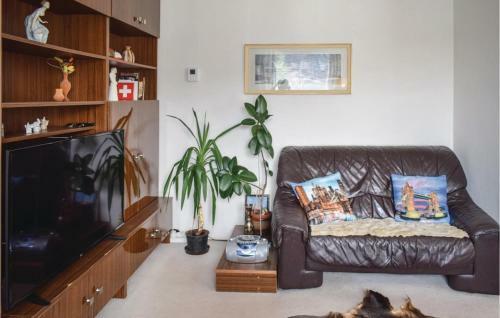 Apartment Horni Kostelec