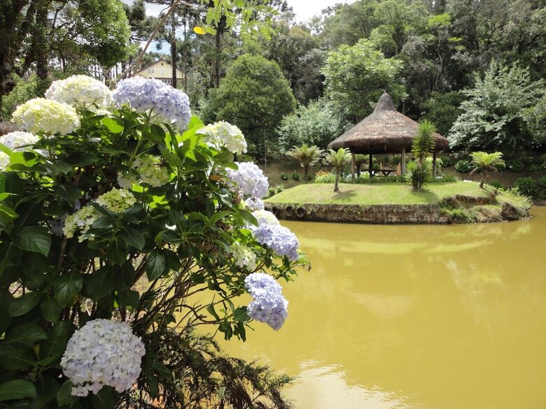 Hotel Golden Park Campos