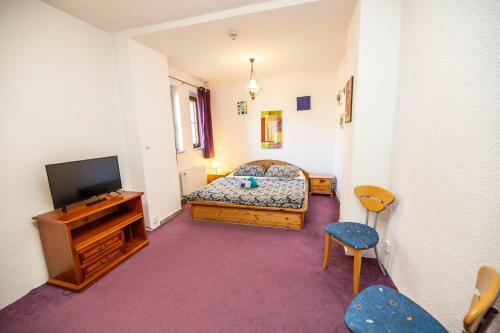 Hostal Penzion Hamersk� Jizba