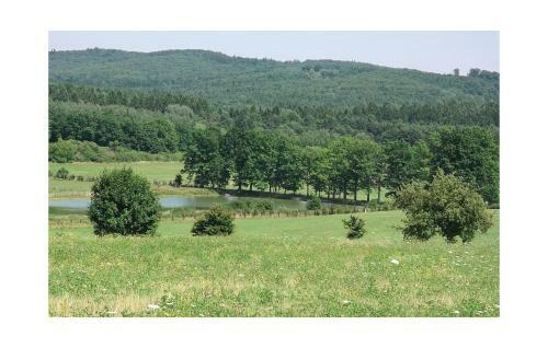 Holiday Home Nova Ves C.
