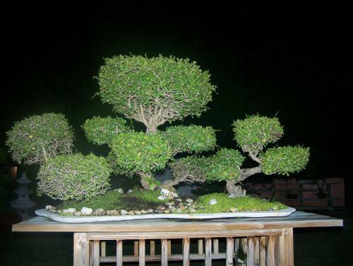 Posada Rock Reef Resort