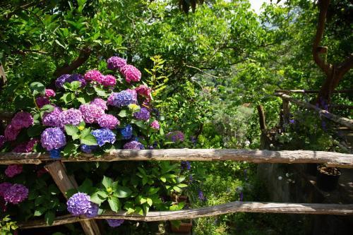 Bed & Breakfast L' Arancio In Fiore