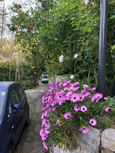 Bed & Breakfast L' Arancio In Fiore