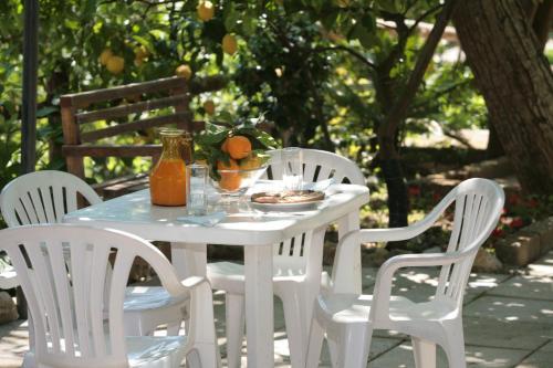 Bed & Breakfast L' Arancio In Fiore