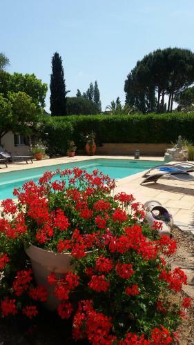 Bed & Breakfast Mas Lou Souleil