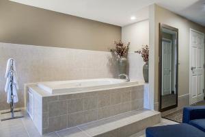 Hotel Comfort Inn & Suites Colonial