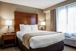 Hotel Comfort Inn & Suites Colonial