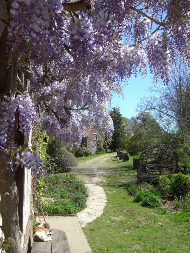 Bed & Breakfast Chambres D'h�tes Le Moulin De Barre