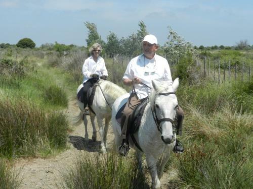 Hotel H�tel Mas De La Grenouill�re