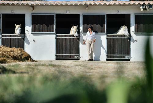 Hotel H�tel Mas De La Grenouill�re