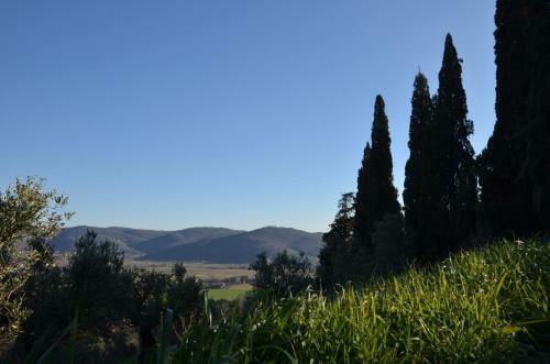 Apartamento Fonte Comelia