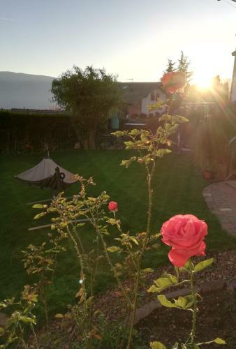 Hotel Garni Reider
