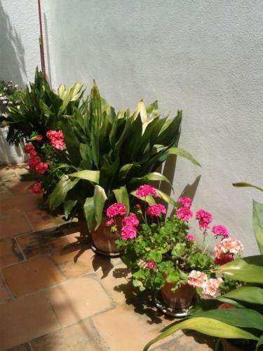 Hostal La Casita Del Corralon