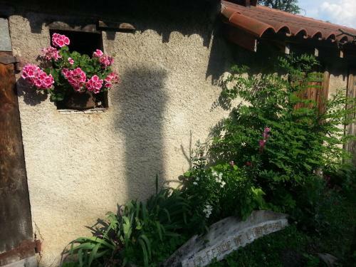 Bed & Breakfast La Ferme De L'orme-vial