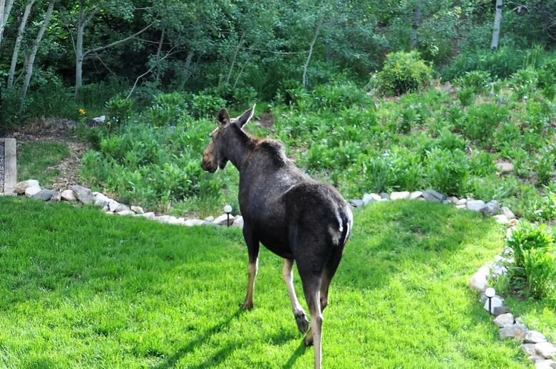 Bed & Breakfast Chalet Val D'isere