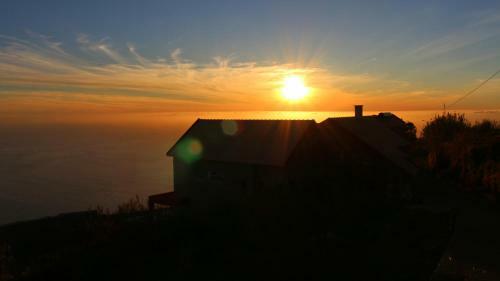 Hostal Madeira Native Motion Guest House