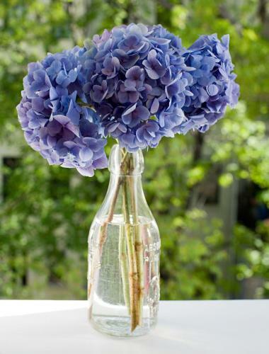 Apartamento Casa Del Cavaliere