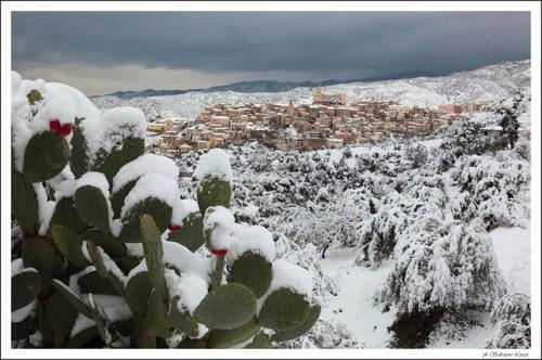 Il Falco E Il Gabbiano B&B