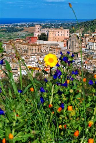 Il Falco E Il Gabbiano B&B