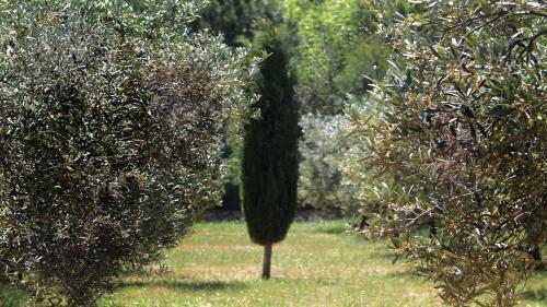Agroturismo La Hacienda