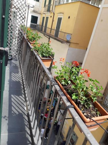 Hotel Antica Repubblica