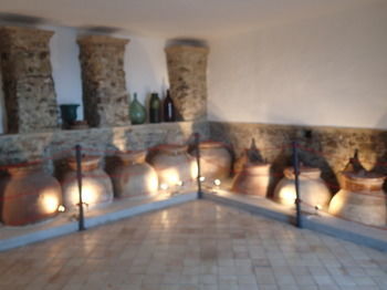Agroturismo Patitiri