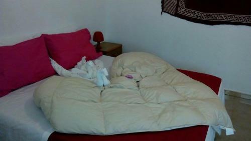 Apartamento La Salina