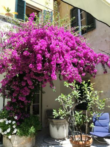 Bed & Breakfast Relais Sassetti