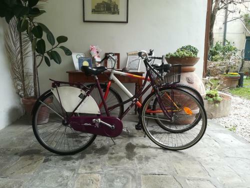 Bed & Breakfast Relais Sassetti