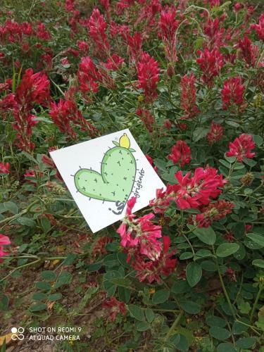 Bed & Breakfast B. & B. Arcadias