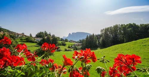 Agroturismo Appartments Neuhof