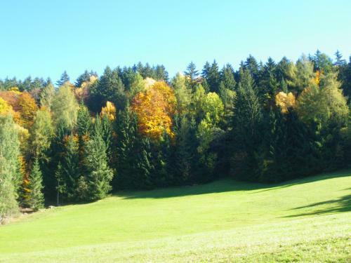 Agroturismo Appartments Neuhof