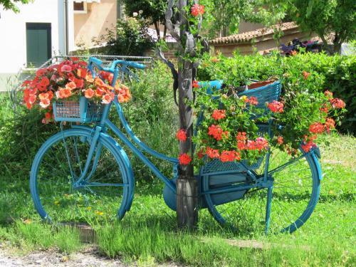 Agroturismo Agriturismo Ca' Marcello