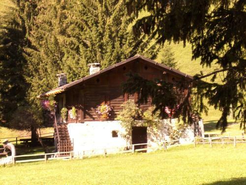 Hotel Albergo Alpino
