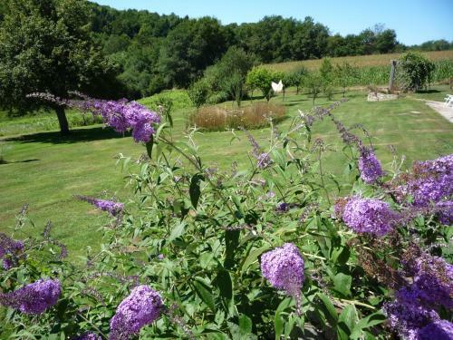 Bed & Breakfast Chambres D'h�tes La Chouette