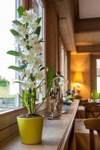 Hotel Restaurant Des Vosges
