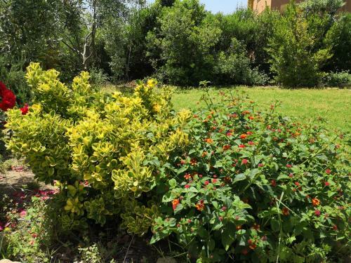 Bed & Breakfast Gassa D'amante