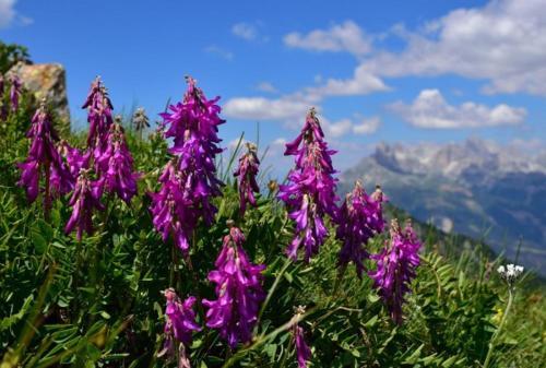 Apartamento Appartamento Dolomiti