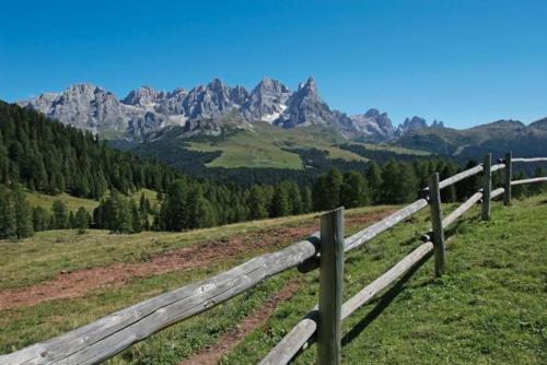 Apartamento Appartamento Dolomiti