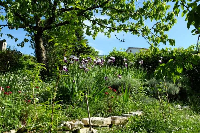 Agroturismo B&B Ca' Dell'olmo