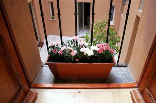 Bed & Breakfast Note Sulla Piazza