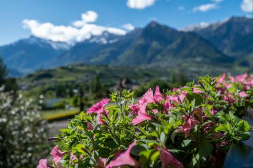 Apartamentos Residence Neuh�uslhof