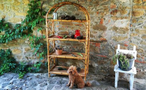 Agroturismo Podere Le Muricce