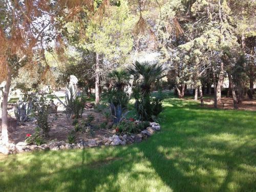 Agroturismo Tenuta La Spezia
