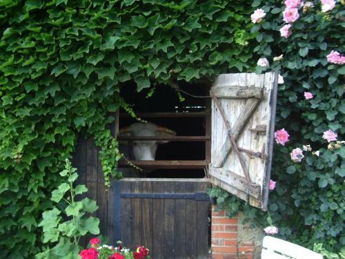 Bed & Breakfast Chambres D'h�tes Des Caissons