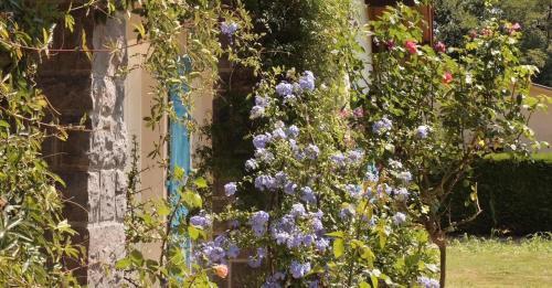 Bed & Breakfast Maison L'anyou