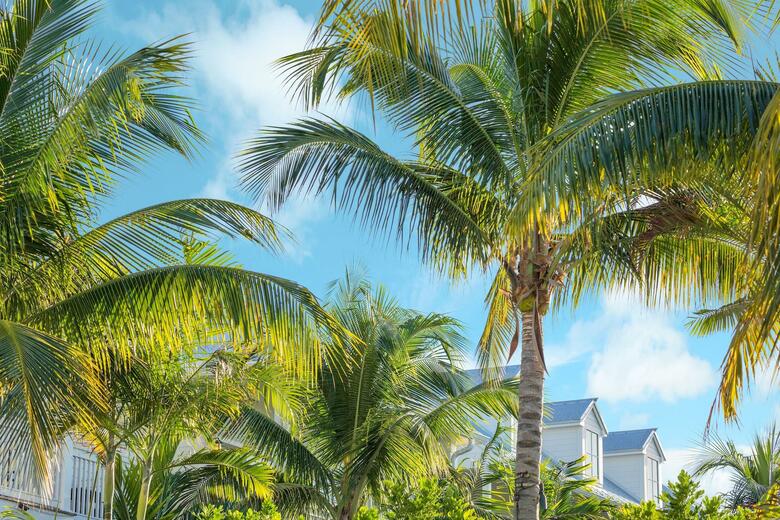 Hotel The Marker Waterfront Resort Key West